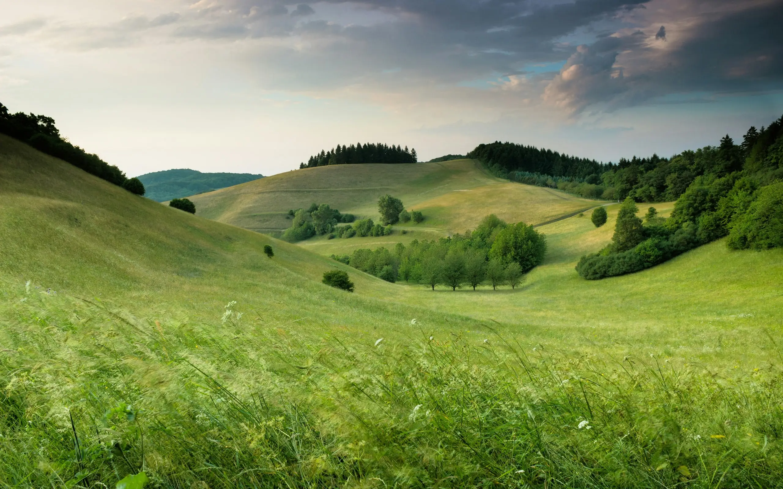 Rolling pasture and woodland under a clearing evening sky